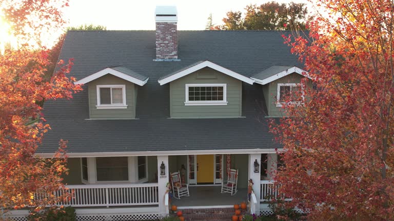 Best Steel Roofing  in Halifax, VA